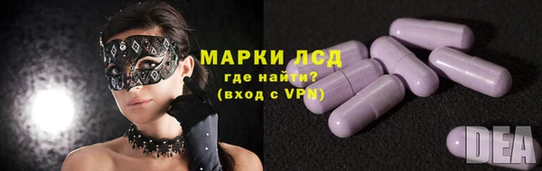 стафф Корсаков