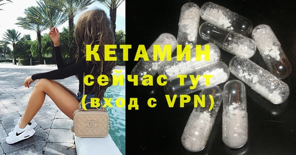 стафф Корсаков