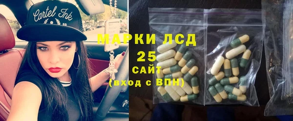 стафф Корсаков