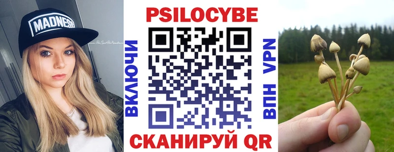 Псилоцибиновые грибы Psilocybine cubensis  Красноуральск 